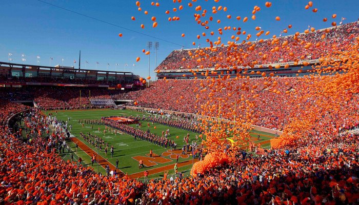 Clemson Bleacher Cushion