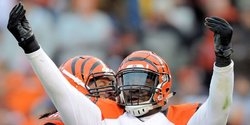 Former Clemson DT re-signs with Bengals