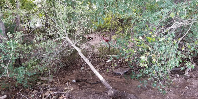 Miracle on the Moat: Swinney says accident puts life into perspective