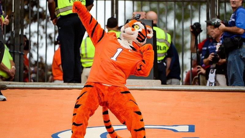 Pigskin Prophet: Replace the Grass Edition