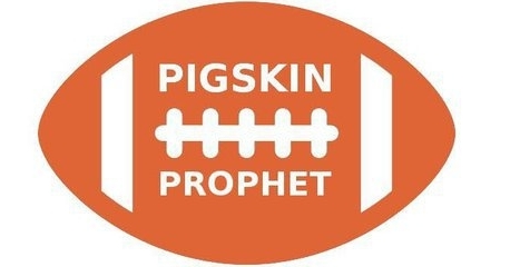 Pigskin Prophet: The Chickens put up netting edition