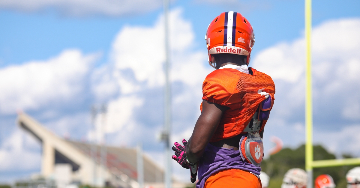 Heat humidity and the popping of the pads: Welcome to Jervey Meadows